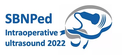  Intraoperative ultrasound in Neurosurgery - 2022